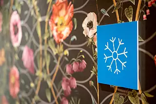 ALMA Appartement WINTER Gang