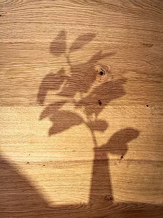 ALMA Appartement HERBST Detail